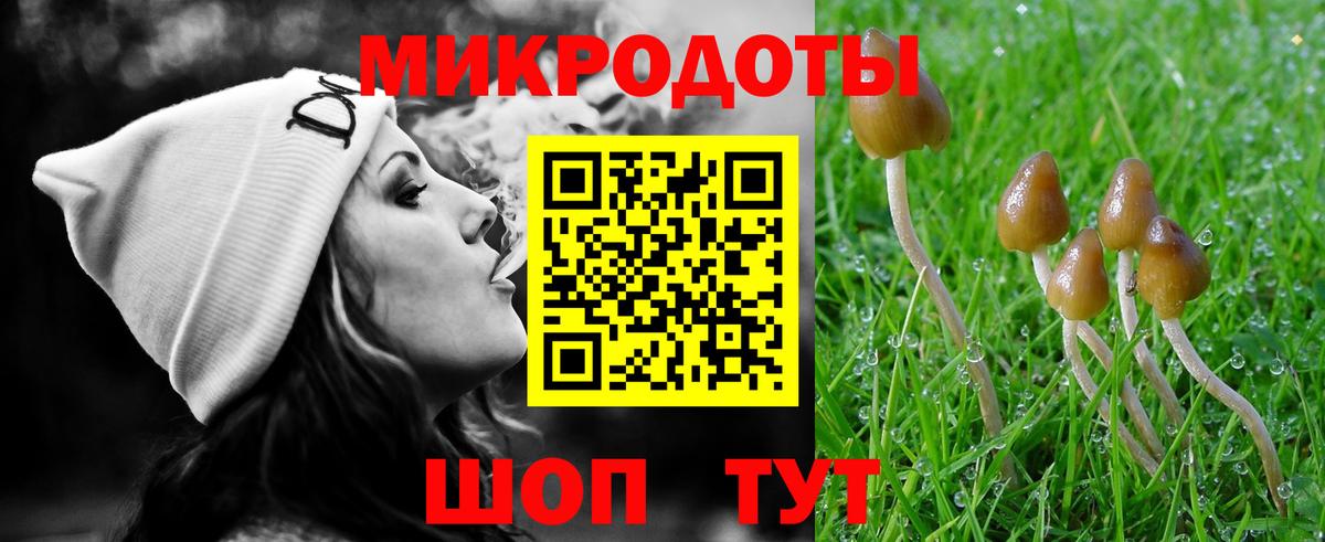 Галлюциногенные грибы GOLDEN TEACHER Краснодар