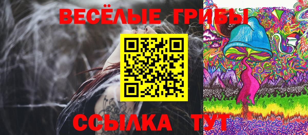Краснодар  Галлюциногенные грибы прущие грибы  Вход с VPN 